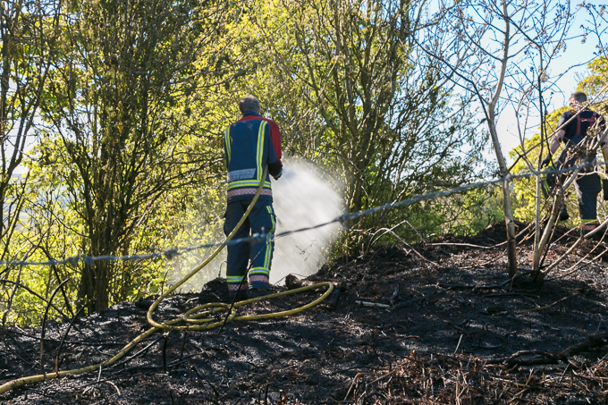 Fire Brigade 2017 (17)